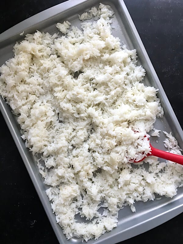 cooked white rice on a sheet pan to cool