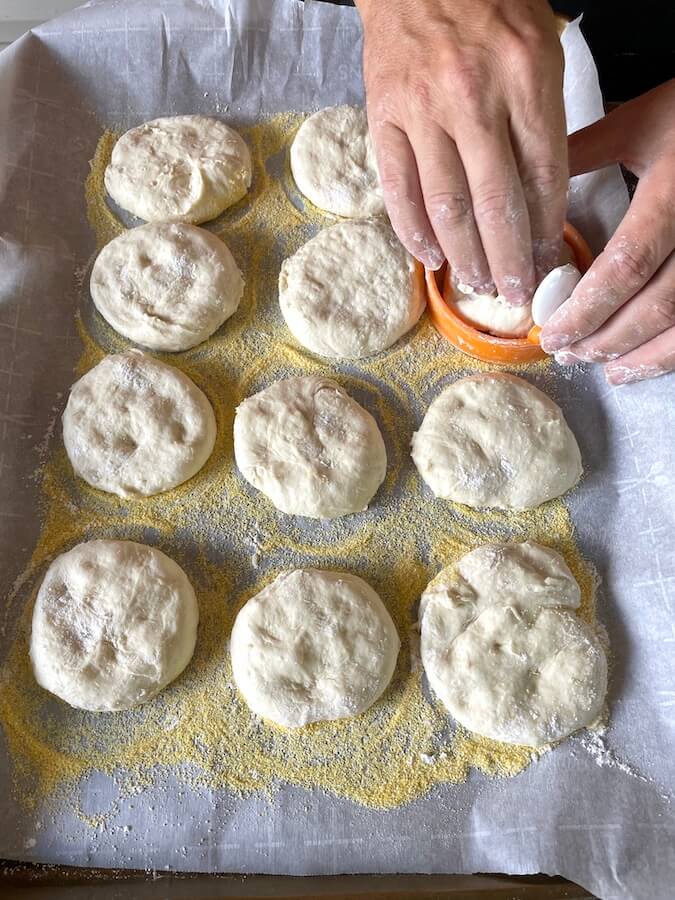 forming english muffin dough into ring molds