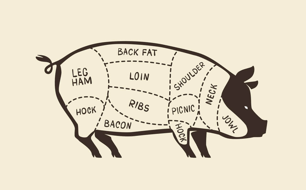 graphic of a pig showing cuts of pork