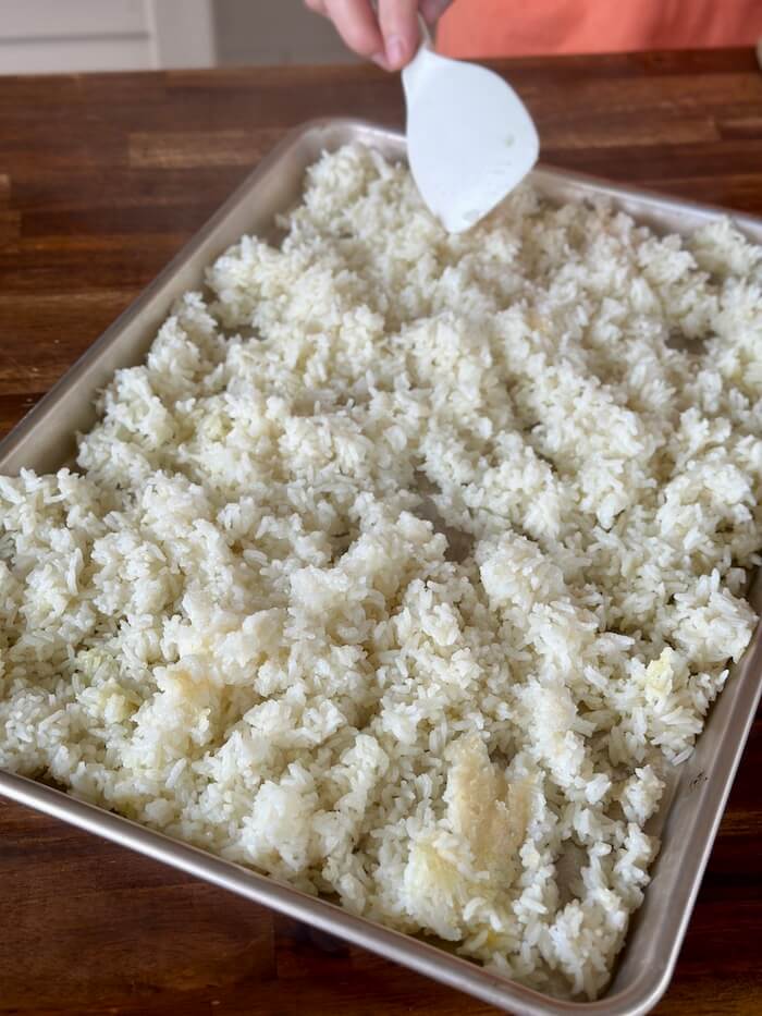 cooked white rice cooling on a sheet tray