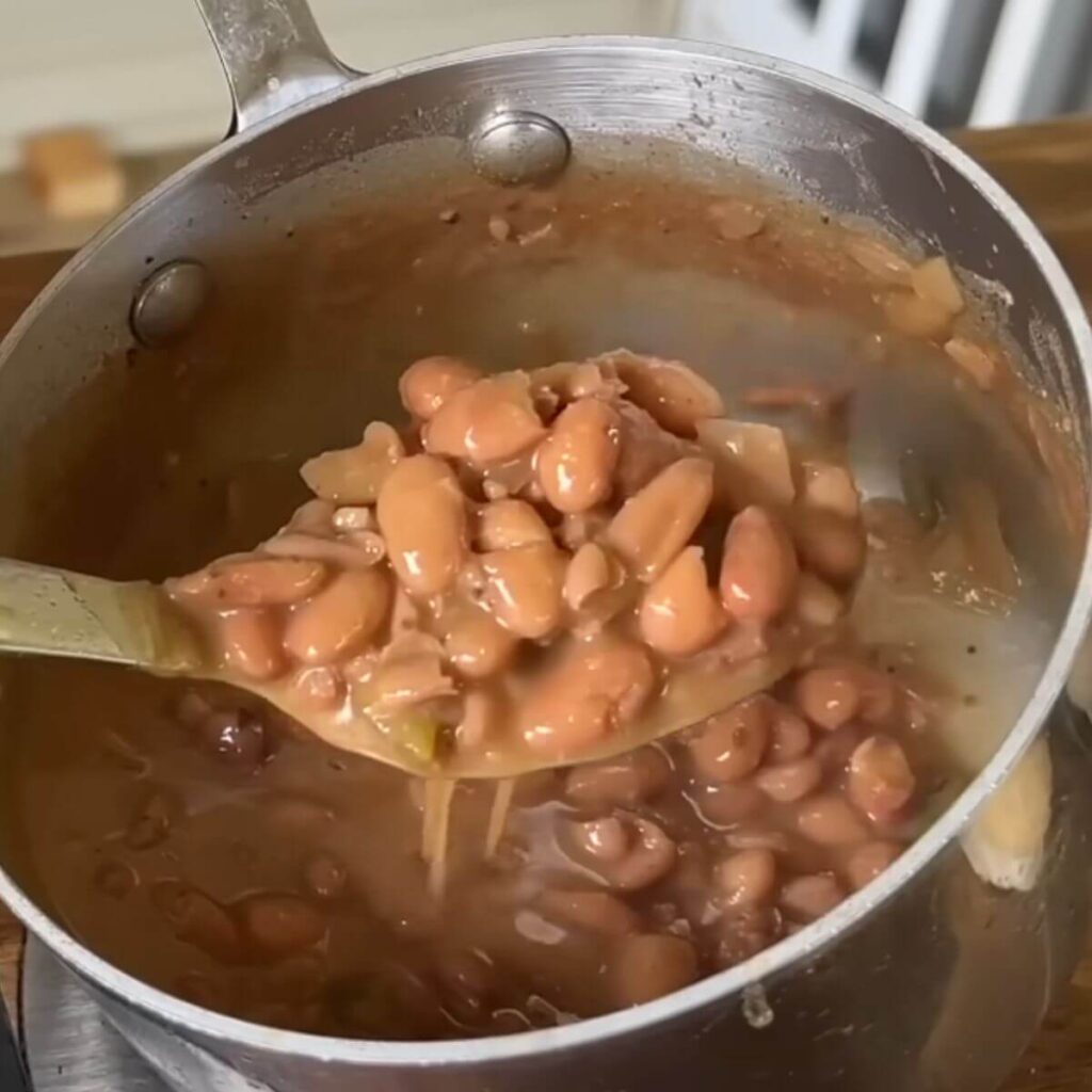 homemade pinto beans in slow cooker