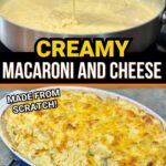 creamy macaroni and cheese