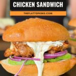 Mexican chicken sandwich