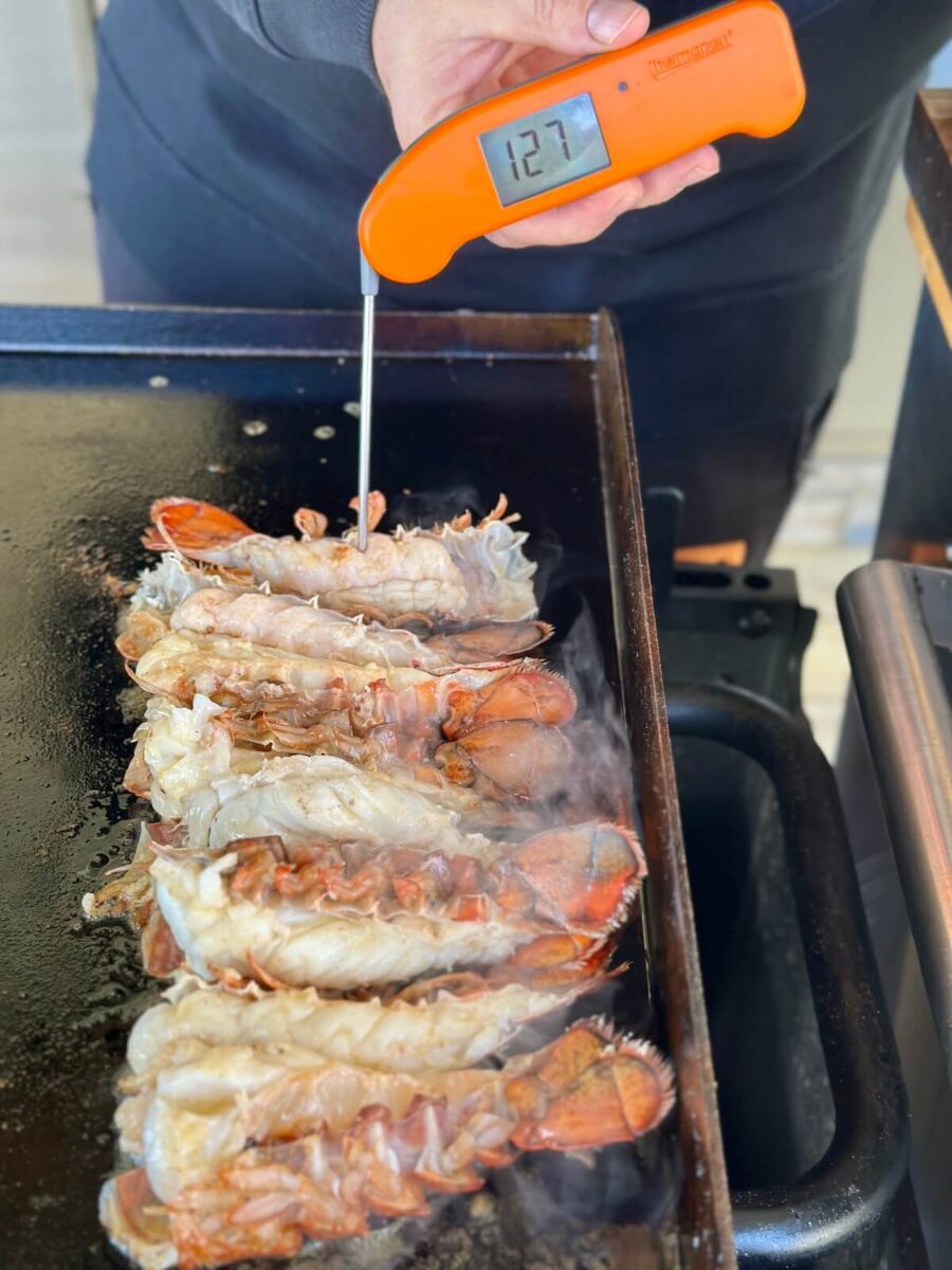 using an instant read thermometer to check temperature of lobster tails