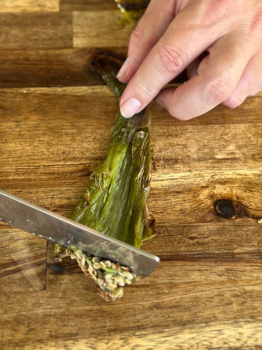 removing the seeds and pith from a roasted long hot pepper
