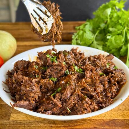 beef birria in a serving bowl